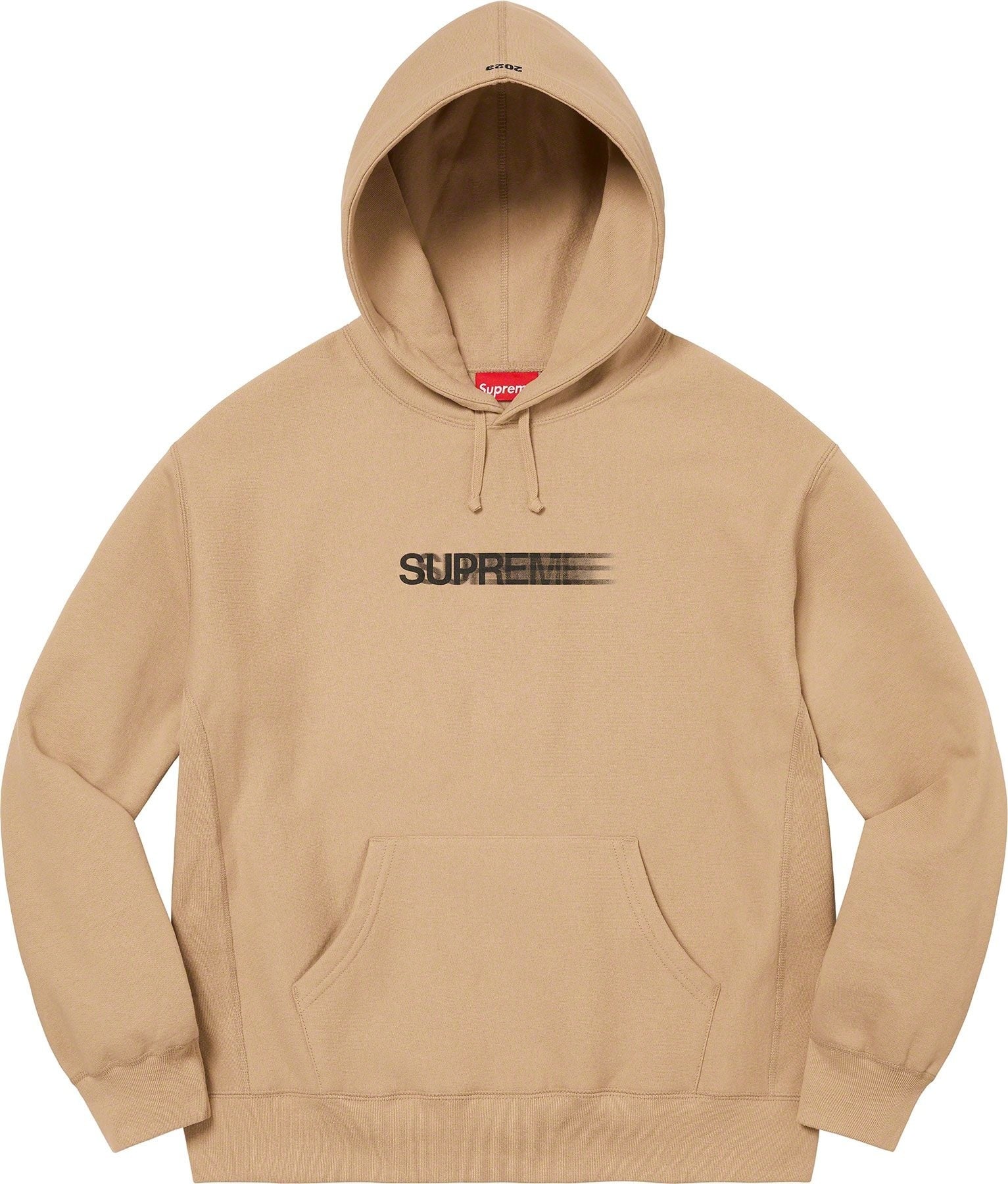Motion Logo Hooded Sweatshirt view 8